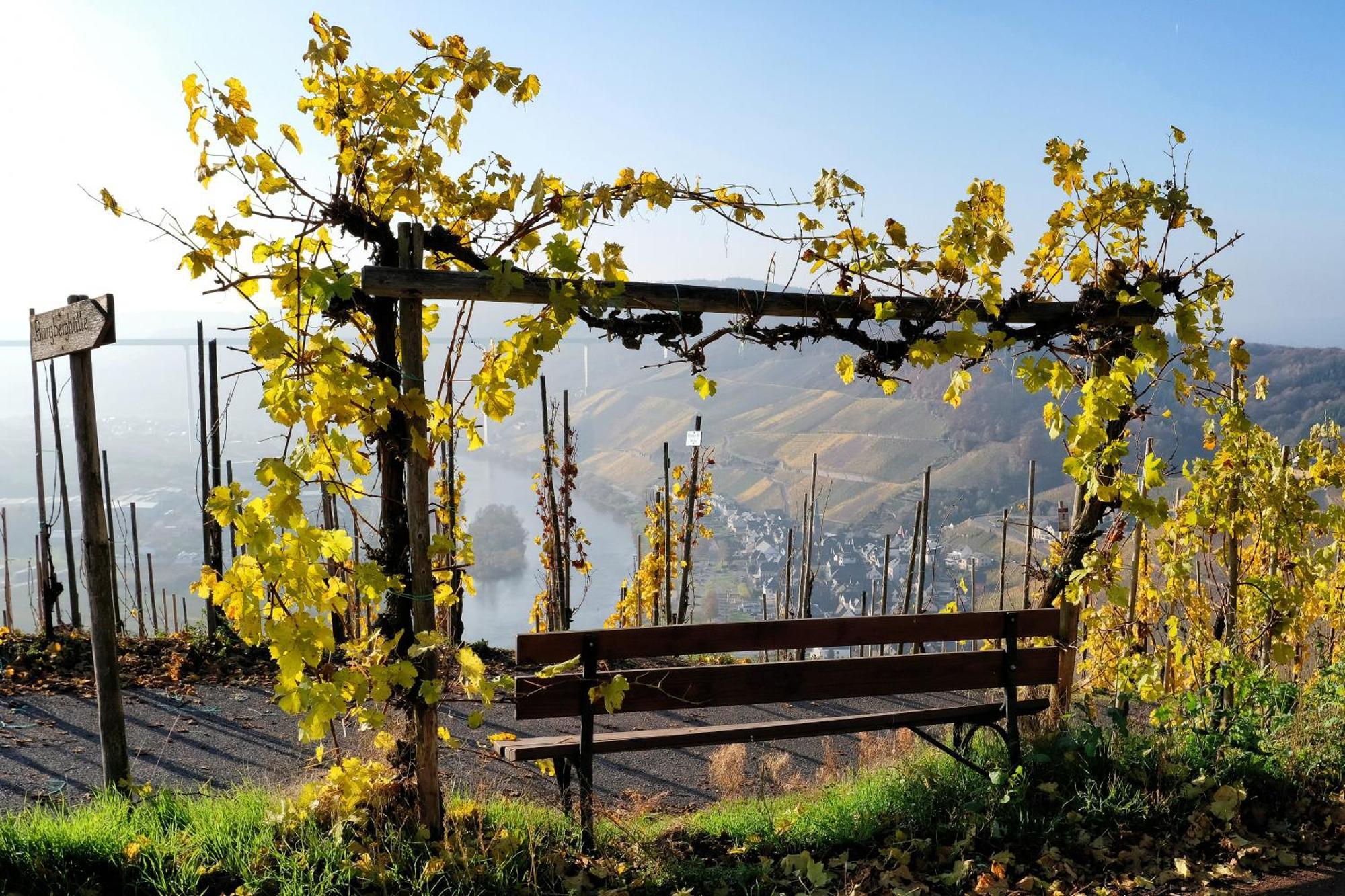 Weingut / Gaestehaus Gerlach Ürzig المظهر الخارجي الصورة