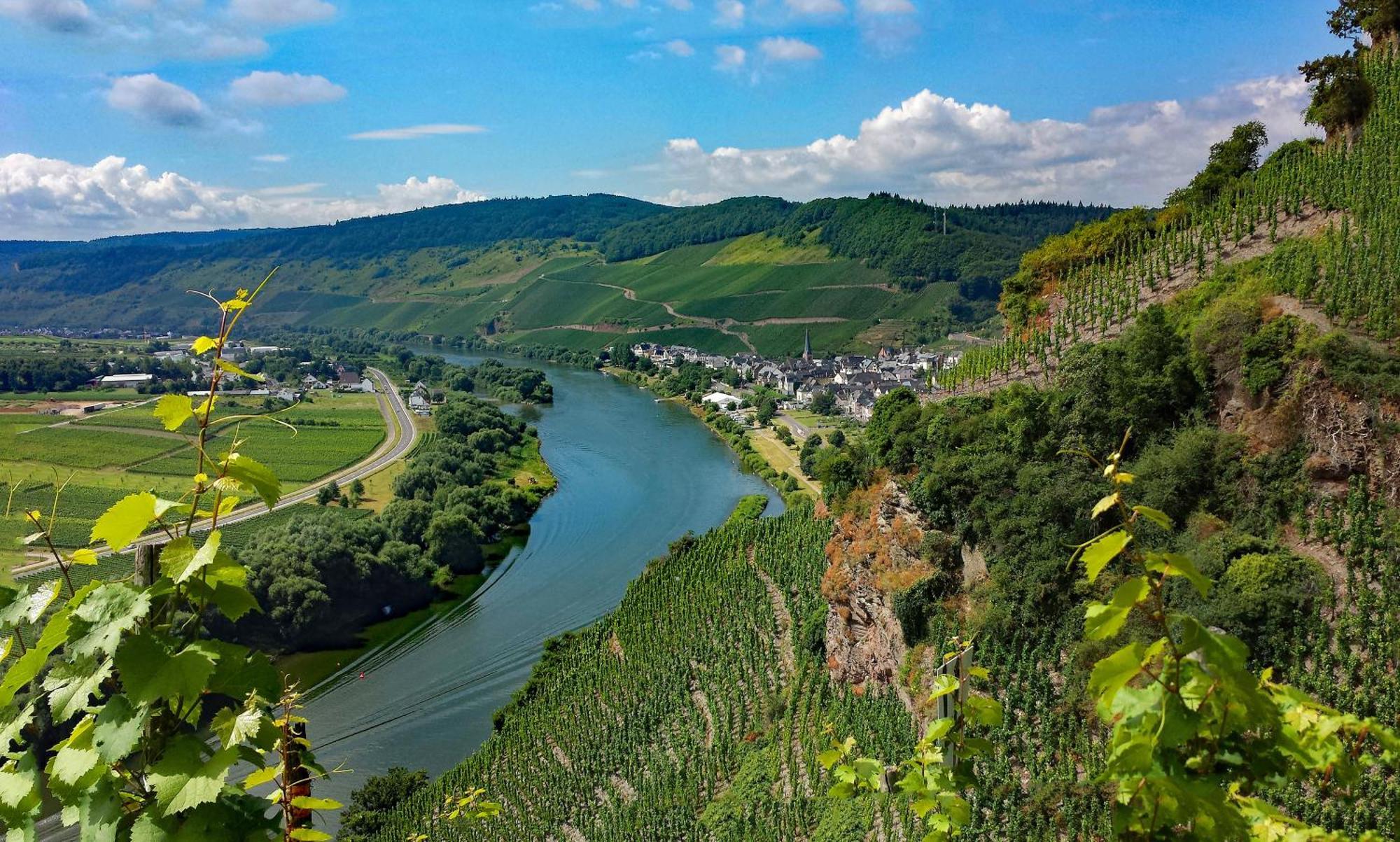 Weingut / Gaestehaus Gerlach Ürzig المظهر الخارجي الصورة