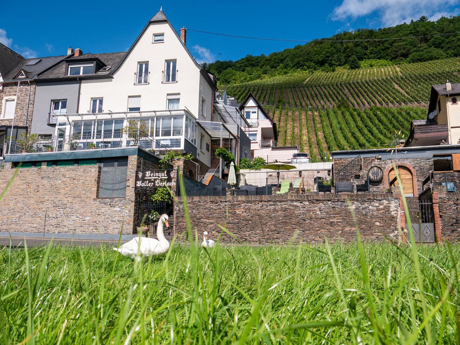 Weingut / Gaestehaus Gerlach Ürzig المظهر الخارجي الصورة