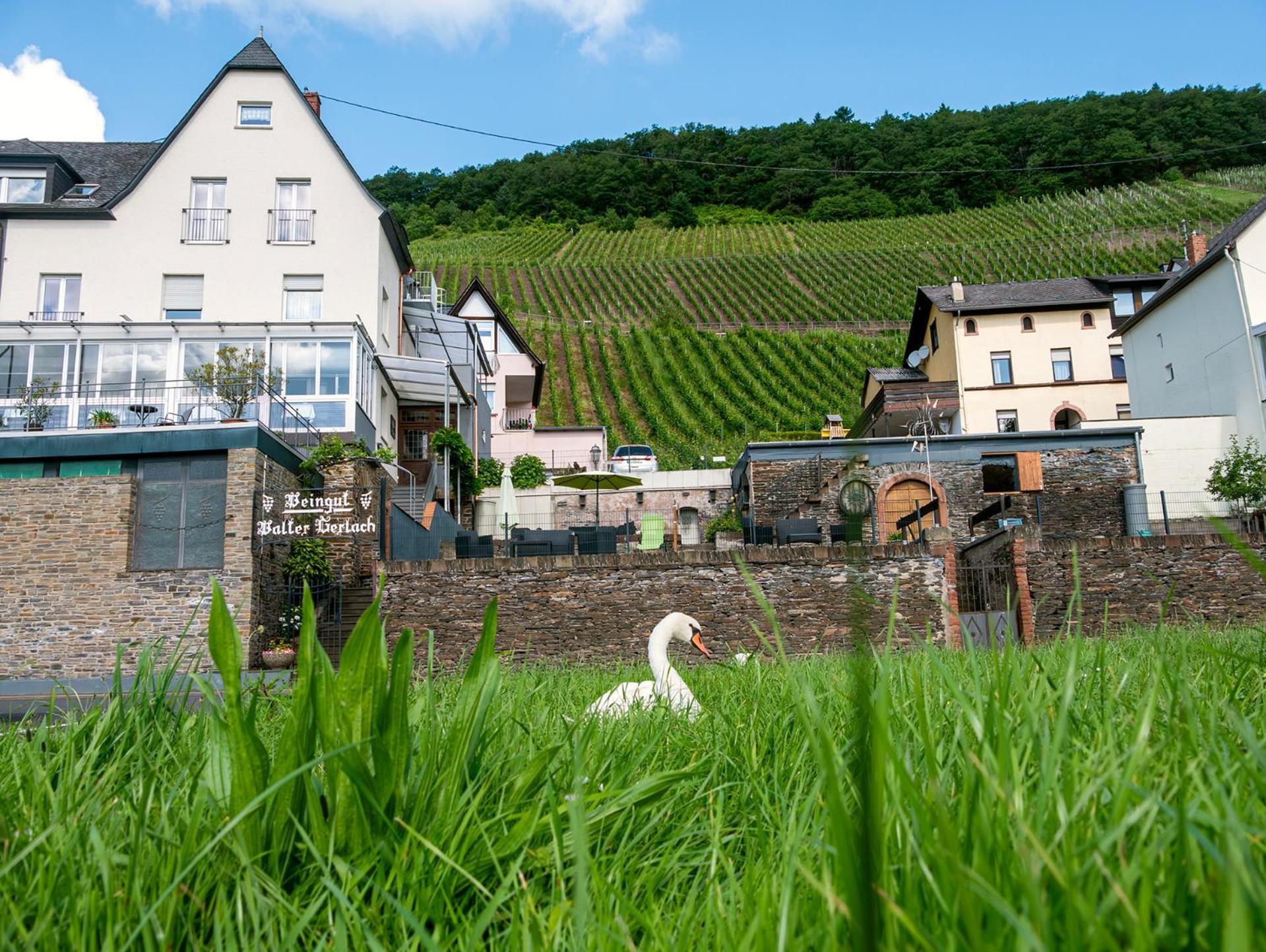 Weingut / Gaestehaus Gerlach Ürzig المظهر الخارجي الصورة